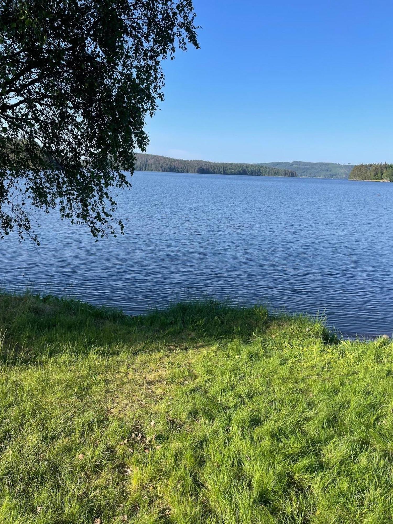 Brunnsvik Hotell & Konferens Ludvika Dış mekan fotoğraf